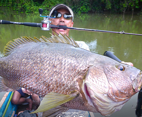 Introducing our latest addition to our top-quality fishing gear lineup, featuring a range of fishing equipment, including fishing rods, fish lures, reels, and more, to help you tackle any fishing challenge with ease and confidence!
