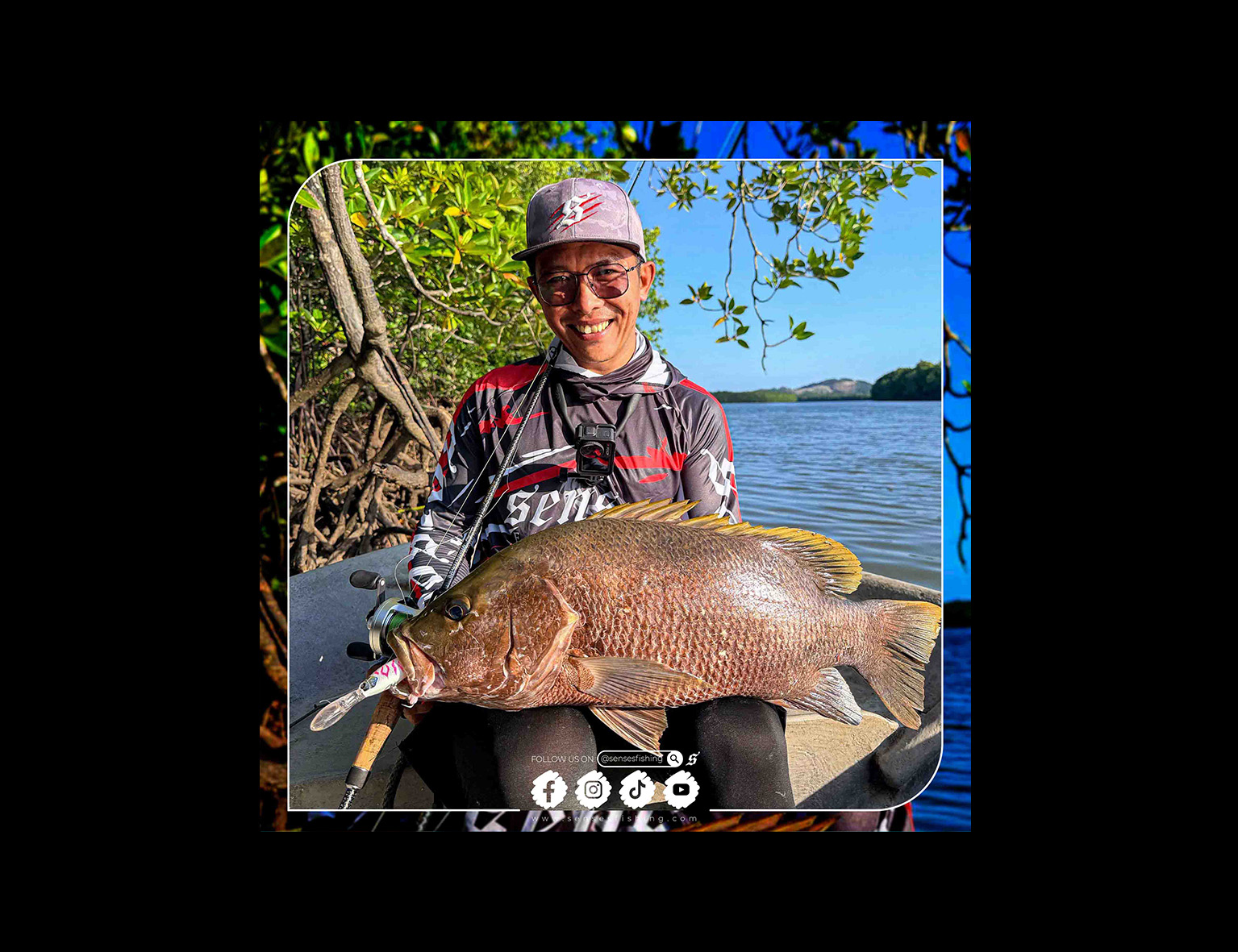 Decoding the Mangrove Zone ๐ฃ๐ฟ