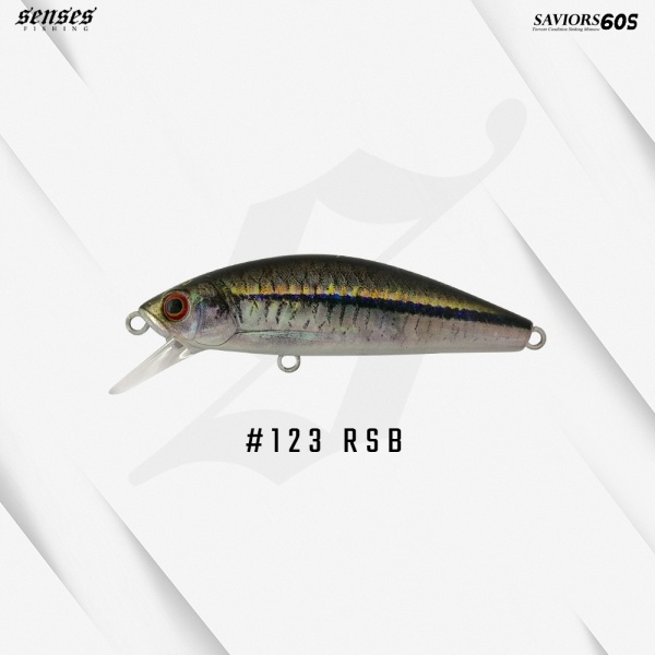123_rsb_rasbora