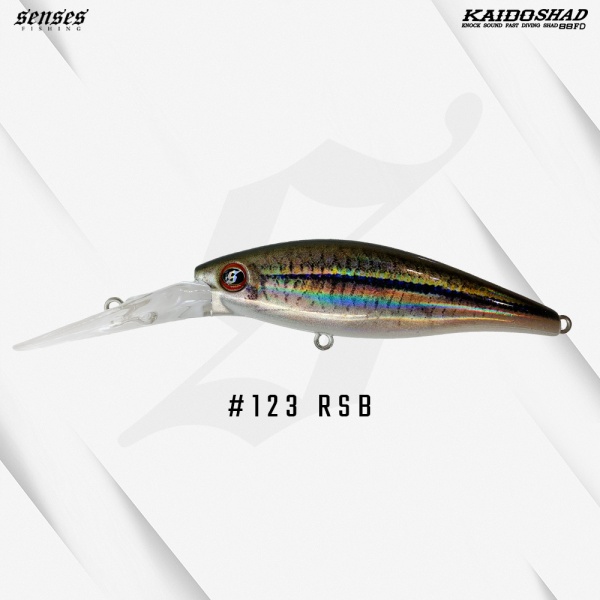 123_rsb_rasbora_557943805