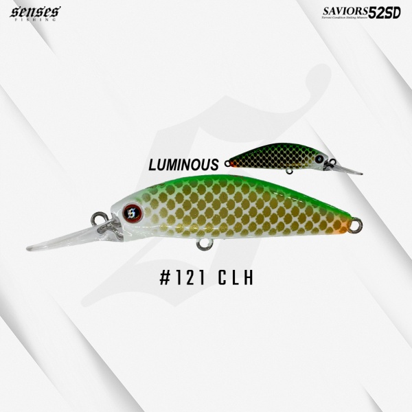 _121_clh_clown_loach