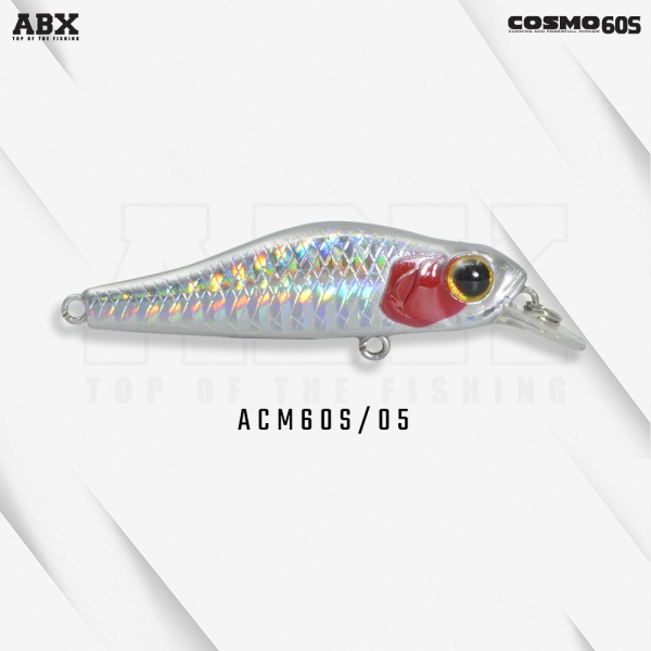 acm60s-05