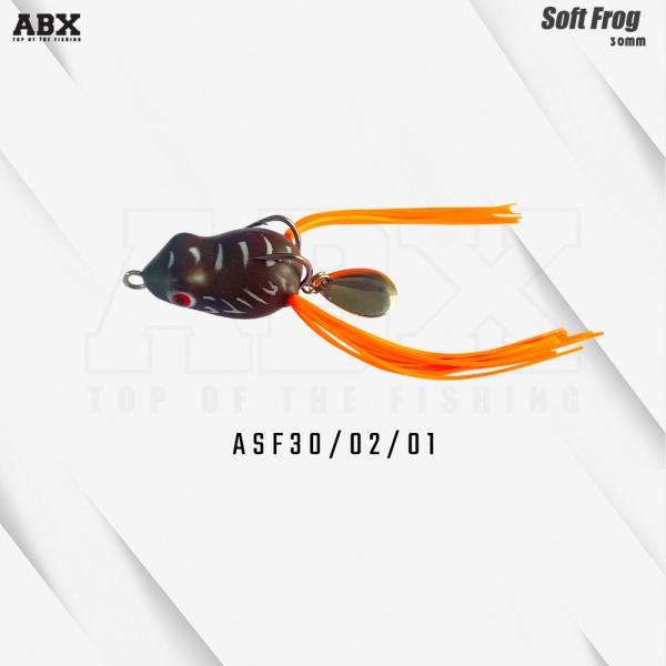 asf30-2-01_1224168963