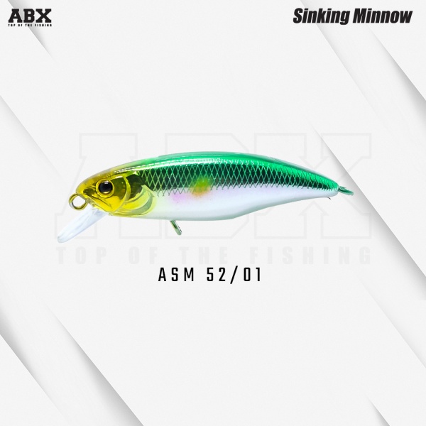 asm_52-01