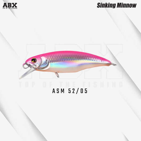 asm_52-05_237610667