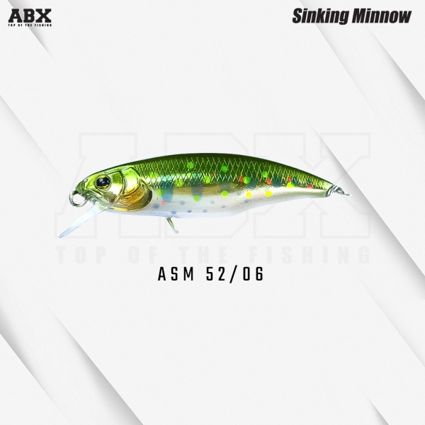 asm_52-06