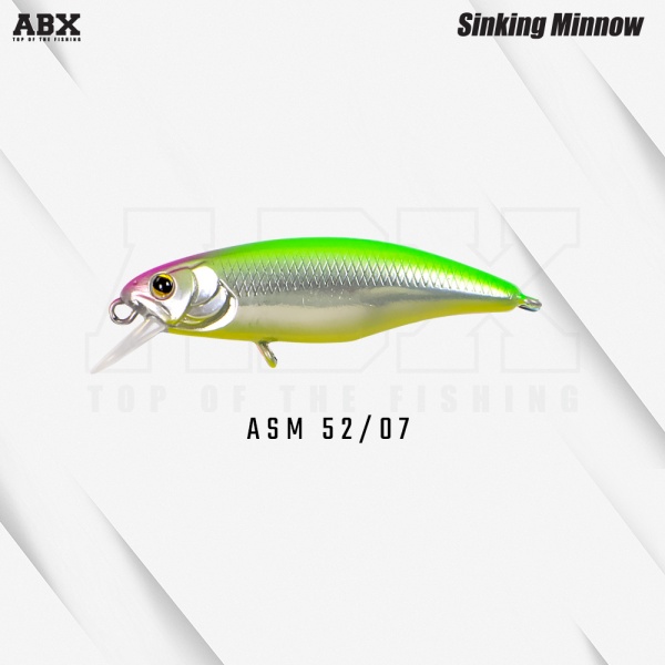 asm_52-07