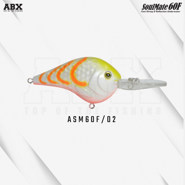 asm_60f-02_1564470637