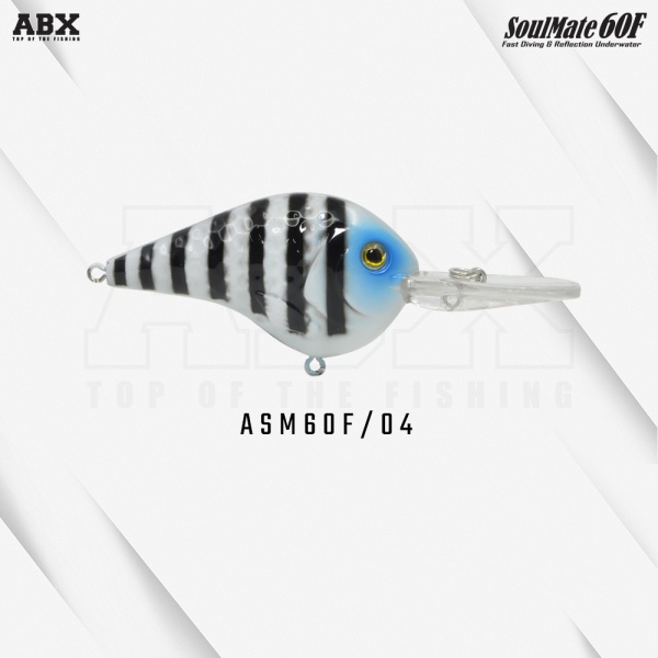asm_60f-04