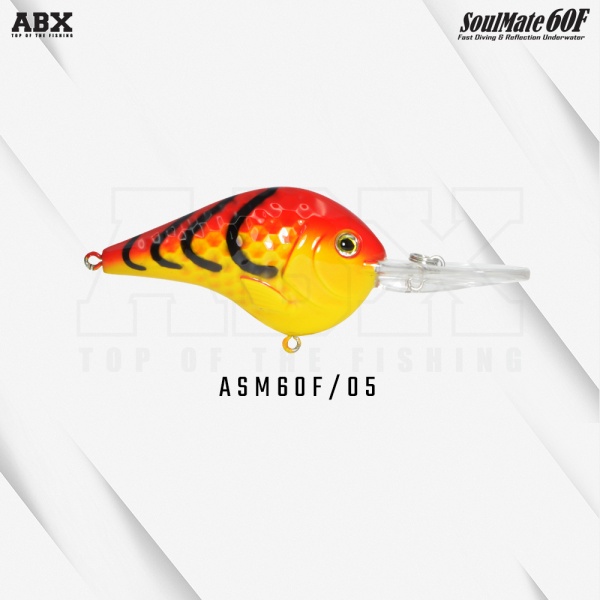 asm_60f-05