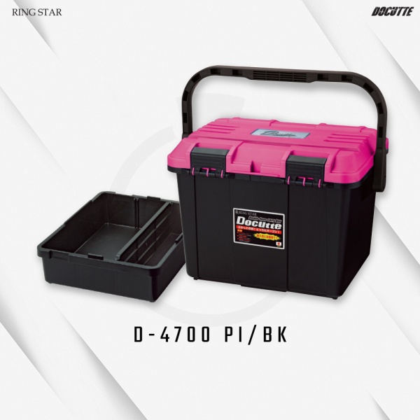 d-4700_pi_bk