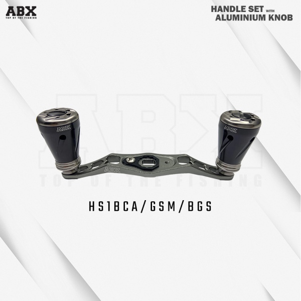 hs1bca-gsm-bgs_1960503368