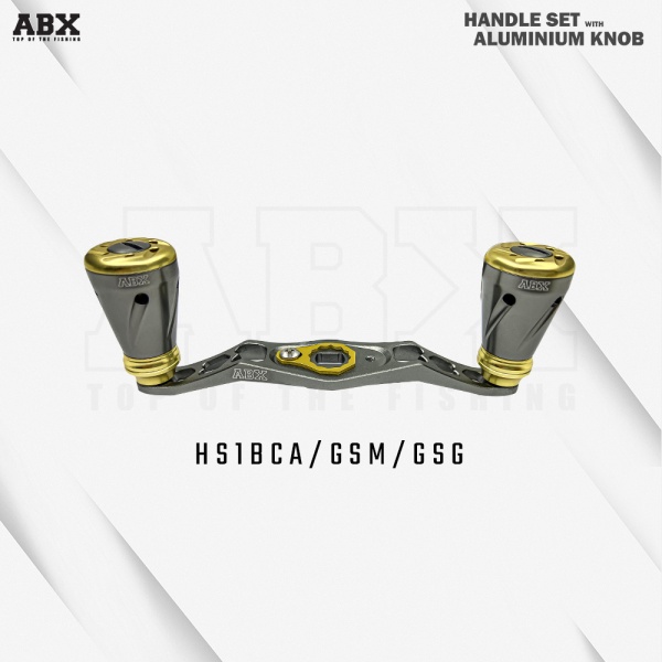 hs1bca-gsm-gsg