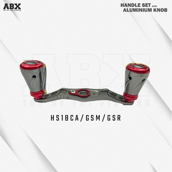 hs1bca-gsm-gsr