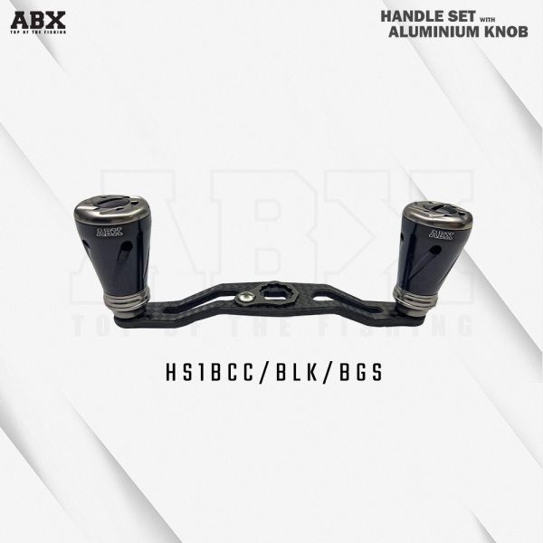 hs1bcc-gsm-bgs