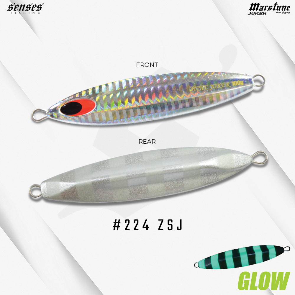 Jackson Métal Jig Plunge 55 Grammes SRI (5091